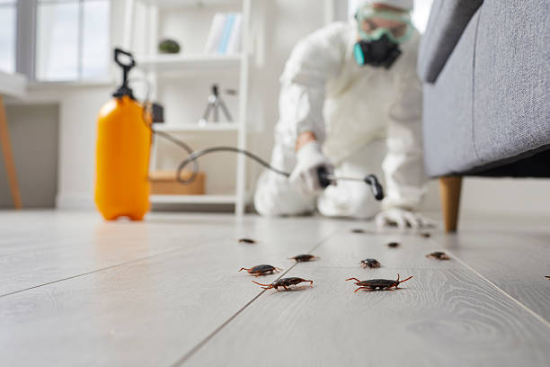 Commercial Kitchen Cockroach Control in Union City